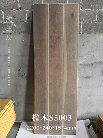 S5003.jpg