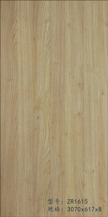 ZR-1615.jpg