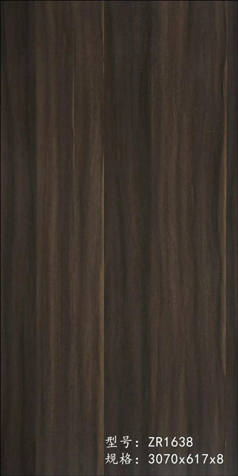 ZR-1638.jpg
