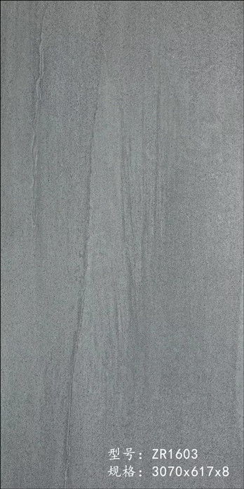 ZR-1603.jpg