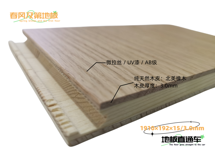 a879448a197e3e246c3841ae9bb02165.png