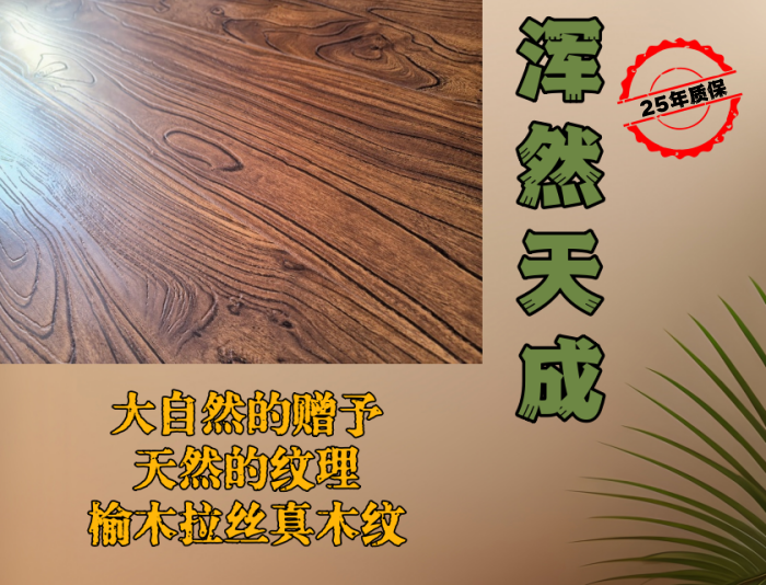 13cdf35145f343c942d49d2d34cbde03.png